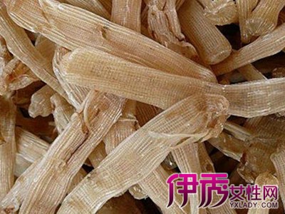 阴虫是什么样子图片_沙虫是什么