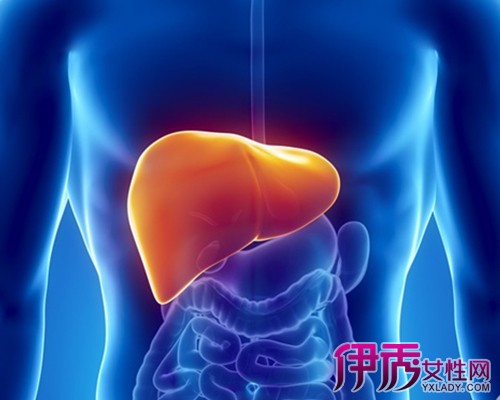 肝脏排毒吃什么|life.yxlady.com