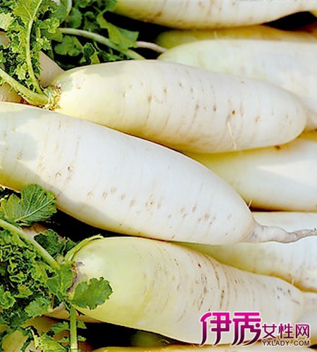 对子宫好的食物|life.yxlady.com