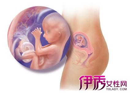 多少天能测试出怀孕|life.yxlady.com