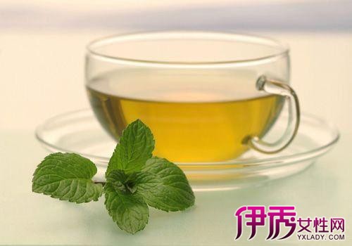 松针茶的功效与作用|life.yxlady.com