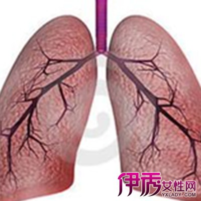 肺疼是什么原因|life.yxlady.com