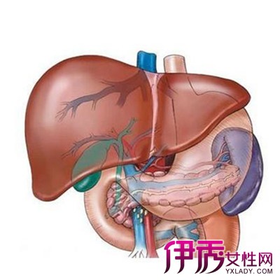 【图】常见脂肪肝中度严重吗? 从饮食疗法出发预防脂肪肝