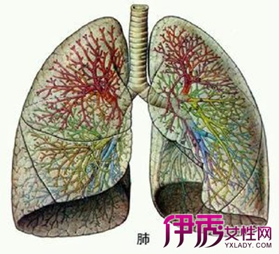 尘肺病能活多久|life.yxlady.com