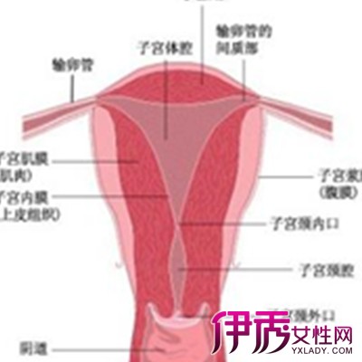 尿道感染多久能好|life.yxlady.com