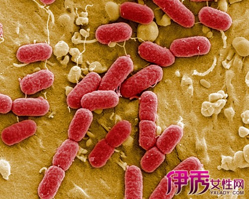 梅毒治疗方法|life.yxlady.com