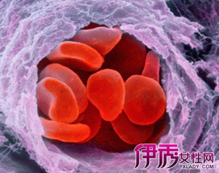 血常规白细胞|life.yxlady.com