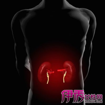 肾病有什么症状|life.yxlady.com