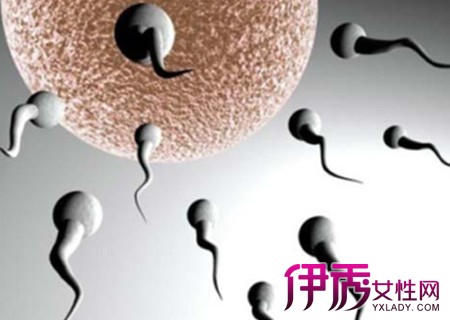 检查精子成活率要注意些什么|life.yxlady.com