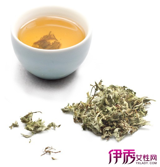 艾叶泡水喝|life.yxlady.com