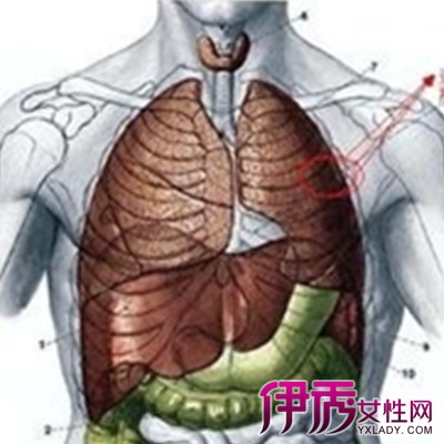 深呼吸左胸口疼|life.yxlady.com
