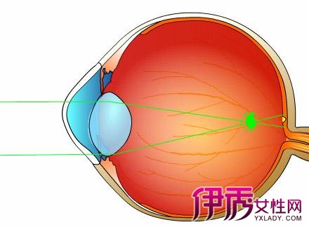 眼睛调节幅度公式_眼睛调节幅度