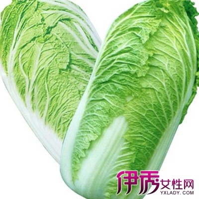 白菜的营养价值及功效|life.yxlady.com