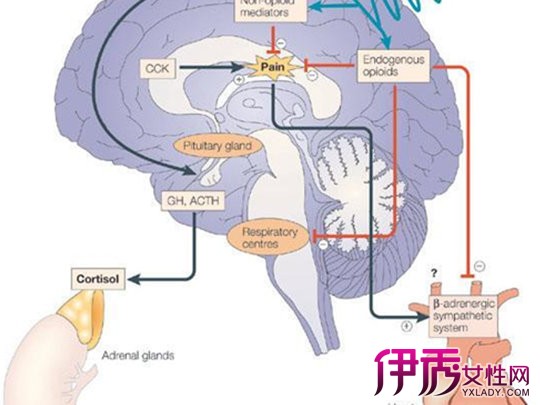 轻微脑梗塞怎么治疗|life.yxlady.com