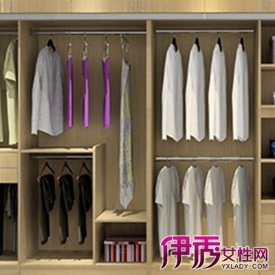 【图】展示衣柜内部的图片 3招教你衣柜的日常保养-衣柜内部