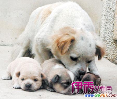 廉江车板镇_车板镇一中_车板镇|life.yxlady.com