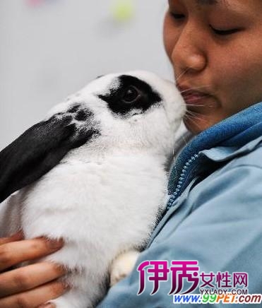熊猫怎么画图片大全_熊猫兔怎么养