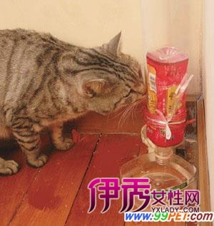 连通器原理_连通器的应用