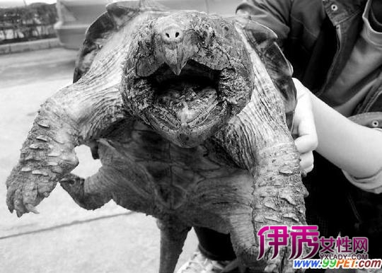 _|life.yxlady.com-С