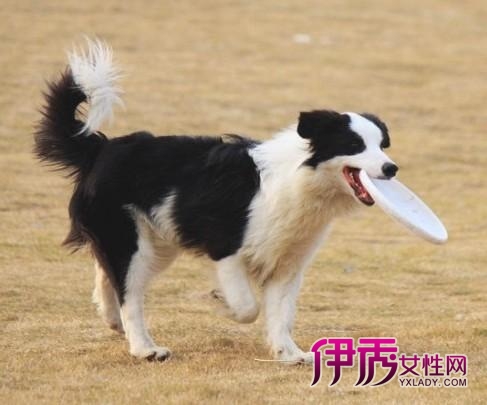 髋关节|life.yxlady.com