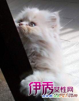 喷水推进器_雨刮器不喷水_汽车雨刮器不喷水