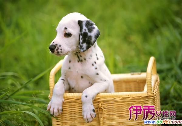 心理活动的词语_心理活动的成语_心理活动课