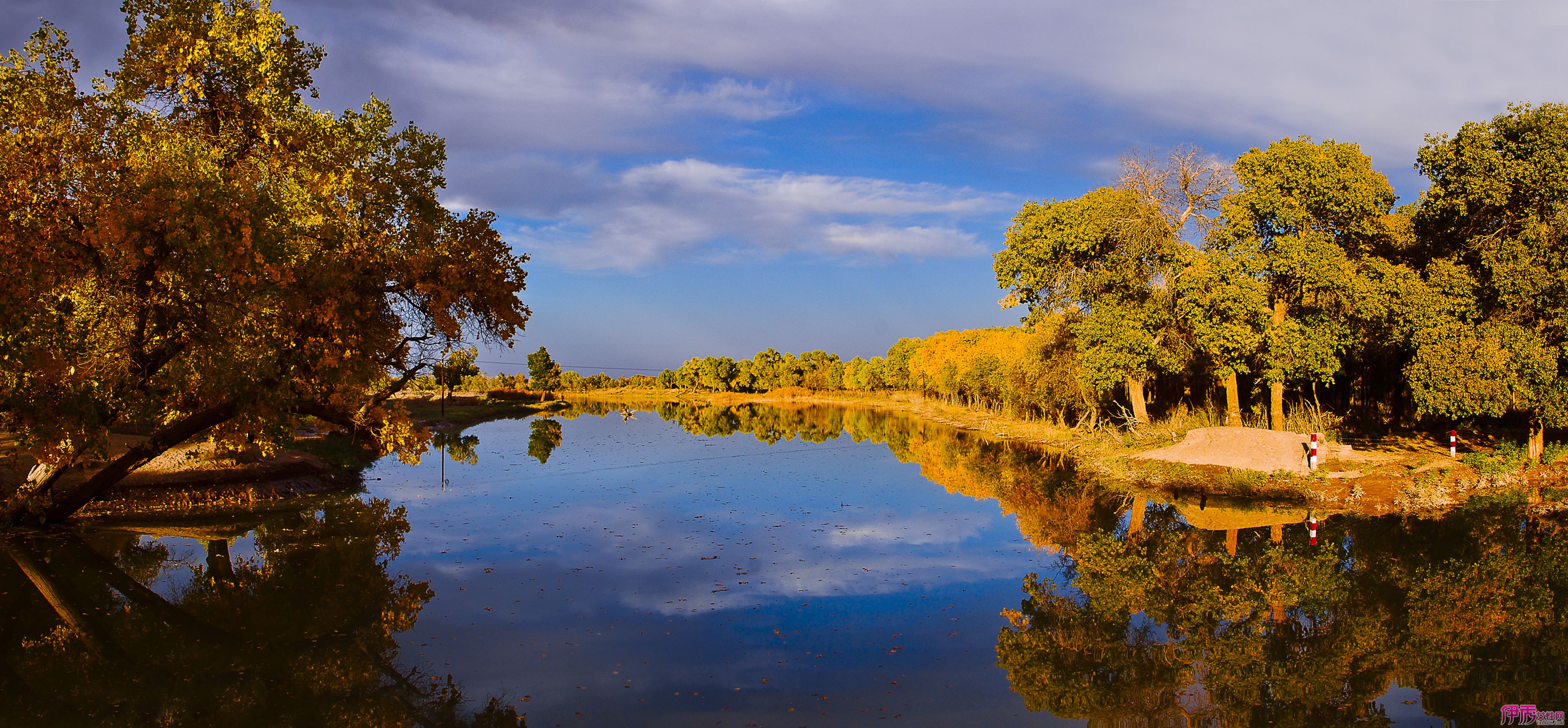 【图】额济纳旗:长河落日看胡杨林 额济纳旗