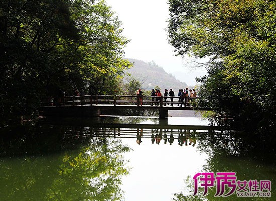 【图】2014年最新青蛙旅行线路普陀山旅游攻旅游青玉游戏攻略攻略图片
