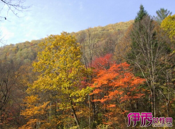 【张家港旅游】【图】张家港旅游景点大全 张