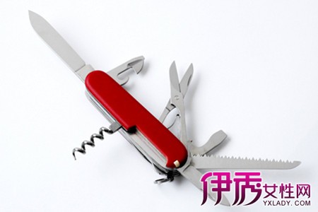 【图】瑞士旅游带回出国旅游大全天天酷跑游戏攻略攻略图片