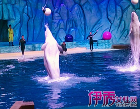 【湛江去珠海要多久】【图】湛江去珠海要多久