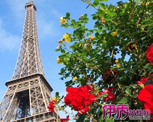 【法国巴黎埃菲尔铁塔】【图】法国巴黎埃菲尔