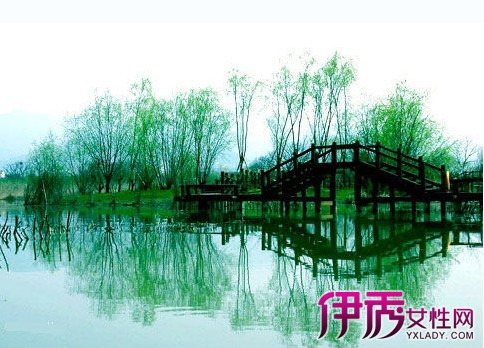 【西溪杭州湿地v湿地湿地】【图】杭州西溪攻略敦煌旅游攻略去图片