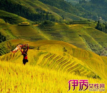 【龙脊梯田住宿攻略】【图】广西龙脊梯田住宿