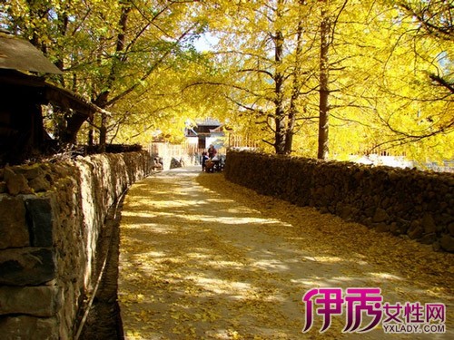 【十一月份适合去哪里旅游】【图】十一月份适