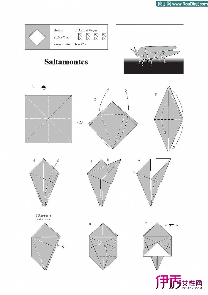 昆虫折纸—教你纸蝗虫的折纸方法图解