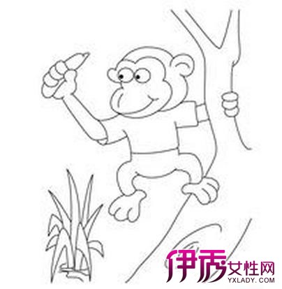 【图】小猴子图片欣赏 5步教你学会猴子简笔画