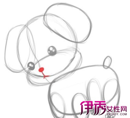 【图】教你怎样画狗的过程 一只可爱的萌萌狗