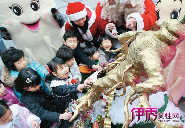 中韩人参宗主国之争 中国自主品牌少低价卖原