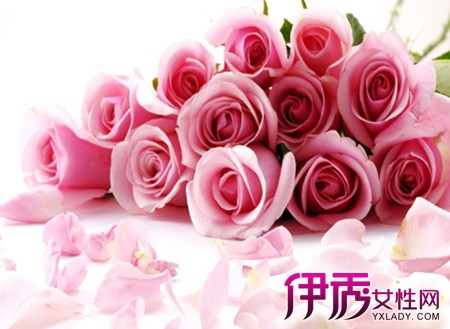 【图】淡粉色的玫瑰代表初恋 不同颜色玫瑰的