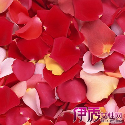 【图】新鲜玫瑰花瓣可以做什么 美容圣品玫瑰