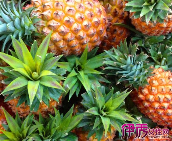 【菠萝怎么种】【图】菠萝怎么种不会死 5个种