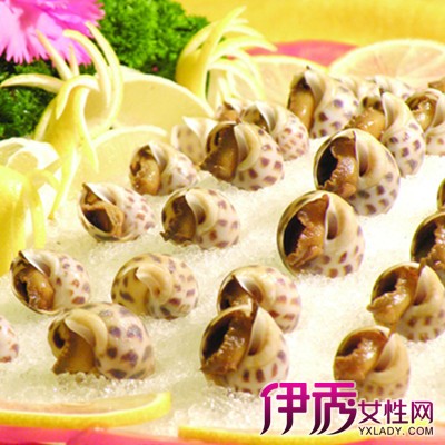 【图】冰镇花螺的做法大全 5个小步骤让你轻松
