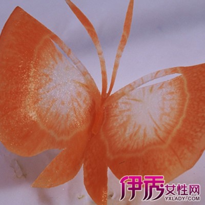胡萝卜蝴蝶花简单图片