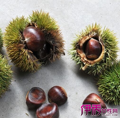【吃栗子放屁臭】【图】吃栗子放屁怎么办 几