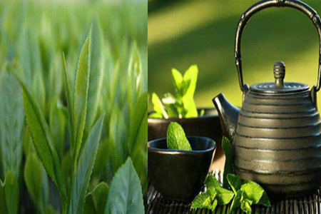 【图】绿茶种类有哪些 老茶农教你如何区别