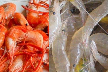 【图】河虾和海虾区别 几个不同教你辨别两者