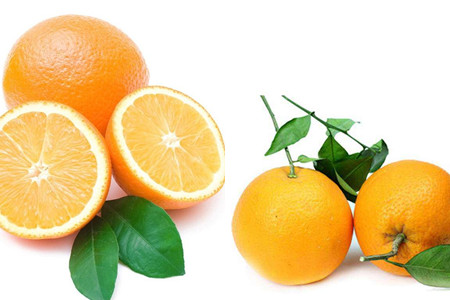 【橙子】【图】橙子的功效与作用有哪些 详解