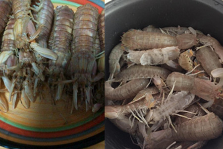 【皮皮虾】【图】皮皮虾的做法简介 美味海鲜