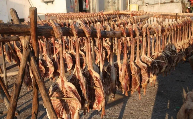 QQ20250508-134941.png QQ20250508-134941.png